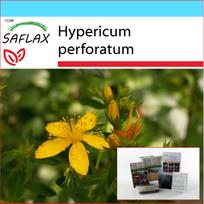 SAFLAX - Gift Set - St. John's Wort - 300 seeds - With gift box, card, label and potting substrate - Hypericum perforatum