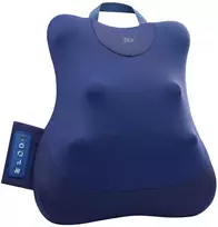 Nugaros masažuoklis FIT2 Pulse ZM-C019