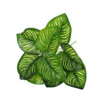 Creative Simulation Plant Vivid Fine Texture Ornamental E