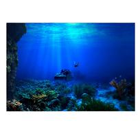Lipnus Seaworld fono plakatas akvariumo žuvų bakui dekoruoti 61 x 30 cm