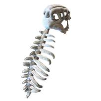 Minkšti dinozaurų skeletų pliušiniai žaislai Juokingas dinozaurų skeleto kostiumų rinkinys Cosplay kostiumas 75cm