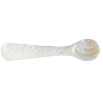 Seashells Shell Conch Caviar Spoons Stirring Tool Teaspoon Coffee Scoop white