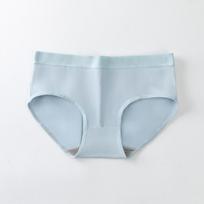 Women's Mid Waist Plus Size Underwear Seamless Stretch Fabric Soft Breathable Comfortable Fit Full Coverage Panties L mėlyna
