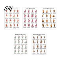 Mobility Exercises Elderly 5Pcs Chair Balance Stretch Yoga Exercise Poster Set for Seniors Low-Impact Home Workout Plan Anti-Fall & Guide Fitness Wall Sets