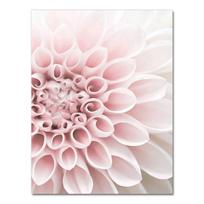 medžio masyvo rėmas Rožinė gėlė Phalaenopsis Bijūnas Dahlia Citatos Sienų Menas Drobės Tapyba Šiaurės šalių plakatai ir spaudiniai Sienų nuotraukos gyvenamajam kambariui 15*20cm(with frame)