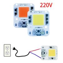 AC220V LED lustas 50W 30W 20W COB lustas Nereikia tvarkyklės LED lempos karoliukai prožektoriui prožektoriui Lampada DIY apšvietimas 220V 20W balta