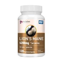 Lion's Mane Mushroom Supplement, 4200mg, High Potency, Nutritional Support, Suitable for Men and Women 120*1