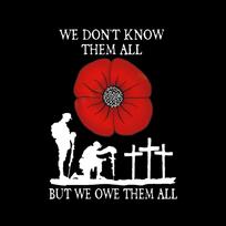 1pc RED POPPY WE OWE THEM ALL Car Stickers for Bumper Front and Rear Windshield Vinyl Decals Self-adhesive Auto Accessories 30*22CM