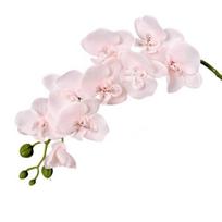 Dirbtinės orchidėjos Ilgu kotu Realistiškos Phalaenopsis orchidėjos Nereikalauja priežiūros Aksominiai žiedlapiai šviesiai rausvos spalvos