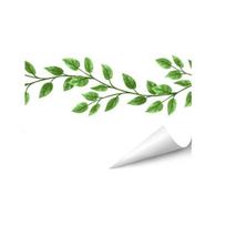 Gėlių Sienos Lipdukai Nulupami Ir Klijuojami Nuimami Gėlių Menas Sienos Lipdukai Svetainei Mergaičių Kambariui Vaiko Kambariui A green