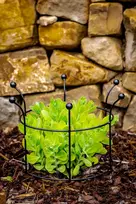 Sodo augalų atrama "Venta" 40cm (juoda)