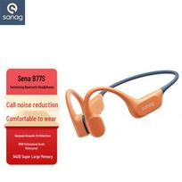 SANAG B77S ProMax Bone Conduction Swimming Headset