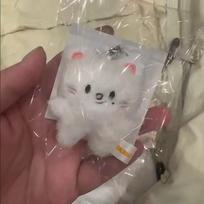 Stray kids 10 cm aukščio pliušinis žaisliukas raktų pakabukas dekoracija pakabukas SKZOO kawaii krepšio dekoracija minkštas prisilietimas miela gyvūnėlio lėlė Jiniret