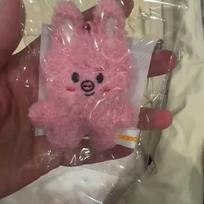 Stray kids 10 cm aukščio pliušinis žaisliukas raktų pakabukas dekoracija pakabukas SKZOO kawaii krepšio dekoracija minkštas prisilietimas miela gyvūnėlio lėlė DWAEKKI