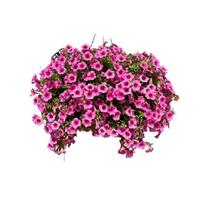 yangyizhi UV Resistant Artificial Petunias Flowers, Outdoor Fake Flowers for Patio Porch Garden Hanging Baskets, Realistic Plants Decor