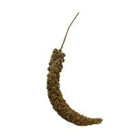 5pcs Natural Dried Millet Sprigs Approximately 15cm Length Each Random Shape and Texture for Crafting Floral Arrangements and Decorations One Size chaki