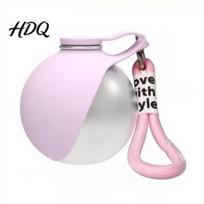 Dog Hydration Bottle Portable Water Ball, 10 Oz Stainless Steel Pet Bottle, B
