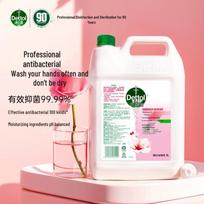 Dettol 5L Anti-bacterial Hand Soap Refill pink
