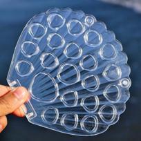 1 Set Transparent Sea Shell Display Cabinet Acrylic Shell Shape Storage Box Mini Beach Stone Decorative Storage Frame A1