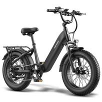 Fafrees F20 Rover Electric Bicycle 250W Motor Top Speed 25Km/h 20  Fat Tire Electric Bike For Adult 7 Speed Hydraulic Brakes 48V 20AH Max Load 150Kg 15AH juoda