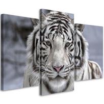 Trijų dalių paveikslų spausdinimas ant drobės Tiger Wild Animal Black White 60x40 balta/juoda