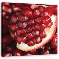 Drobės spaudinys Granato makro 60x60 raudona