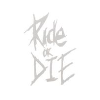 Dviračio rėmo lipdukas Ride Or Die Top Tube lipdukai Dviračių lipdukai Dekoratyviniai rėmo lipdukai Dviračio lipdukai Dviračio lipdukai 1vnt