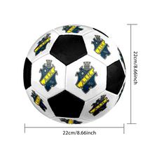 AIK Fotboll Soccer Ball Colorful All Ages Machine Stitched PVC Competition Ready Durable High-Bounce.SIZE5