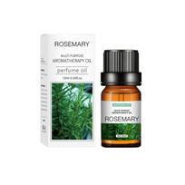 10 ml natūralūs augaliniai raminamieji drėkinamieji išskirtiniai kvepalai gaminantys jazminų eterinį aliejų Rosemary