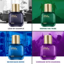 Wild Stone Kvepalų Rinkinys Vyrams 4x30ml – Herojus | Karalius | Vadovas | Viršininkas | Aukščiausios kokybės priežiūros ir gyvenimo būdo dovanų rinkinys | Ideali dovana ypatingoms progoms 120 ML