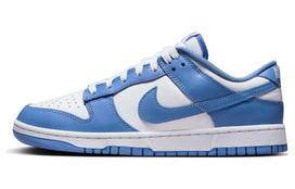 Nike Dunk Low Polar Blue DV0833-400 47.5