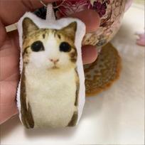1 vnt. Mielas Meowl Katės Pliušinis Raktų Pakabukas Su Garsu, Minkštas Pliušinis Gyvūnėlis Raktų Žiedas, Juokingas Rankinės Pakabukas Žavesys Dovana Draugams 1pc brown
