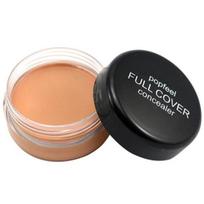 Eye Circles Face Concealer Makeup Tool Concealer 4 brown