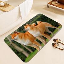 Vonios kilimėlis Shiba Inu kilimas miegamajam Durų kilimėlis įėjimo durims Svetainė Miegamojo grindų kilimas Neslystantis Moderni namų puošyba 40cm x 60cm gray