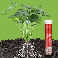 Phosphorus Organic Fertilizer Potassium Growth Plant Nutrition Tablets Speed Up Slow-Release Tablet Plants Potted XXS