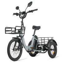 CYSUM AG1 Pro: 750W+48V20Ah+150km. Sulankstomas suaugusiųjų krovininis elektrinis triratis, visureigių žvėris