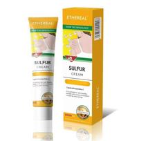 3 Pack Plant Extract Body Moisturizing Care Ointment, Mild Daily External Body Skin Cream 20g Each 20g