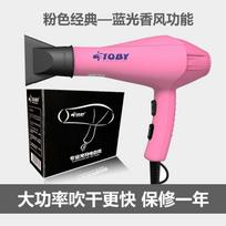 Professional Pet Hair Dryer for Dogs & Cats High Power Cool/Warm Air Blower Low Noise Grooming Equipment Non-Slip Pet Blaster