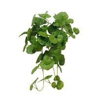Creative Green Artificial Begonia Leaves Home Decoration 40/70cm Lifelike Plants Garland Wedding Ornament Accessories Plant Wall