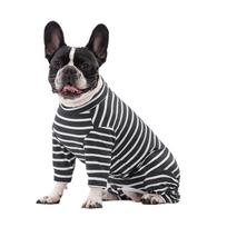 Pet Dog Clothes Poodle Chennai Teddy Small Dogs All-inclusive Male and Female Models Four Seasons Can Wear Striped Four-legged Clothes S gray