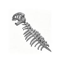 80/100/120cm Exoskeleton Design Dinosaur Skeleton Mask Wearable Dinosaur Costume Children's Creative Toys Easy To Wear