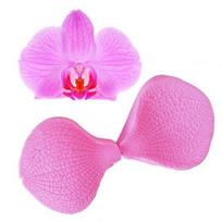 2 vnt / rinkinys kandžių orchidėjų žiedlapių fondant torto silikoninės formos, skirtos namų virtuvei