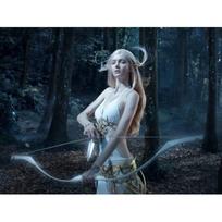 Full Diamond Painting Beautiful Elf Girl Fairy Diamond Embroidery Woman Pictures of Rhinestone 20X30CM