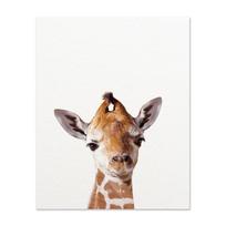 Safari Kūdikių Gyvūnai Liūtas Tigras Zebra Plakatas Drobės Tapyba Vaikų Darželio Sienų Menas Spaudinys Vaikų Kambario Paveikslas Skandinaviškas Vaikų Miegamojo Dekoras 21cm×30cm NoFrame