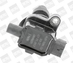 Ritė, uždegimas BorgWarner (BERU) ZS429