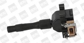 Ritė, uždegimas BorgWarner (BERU) ZS014