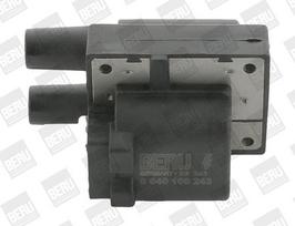 Ritė, uždegimas BorgWarner (BERU) ZS243