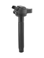 Ritė, uždegimas BorgWarner (BERU) ZSE261