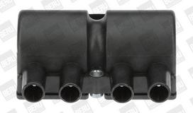 Ritė, uždegimas BorgWarner (BERU) ZS545