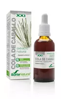 SORIA Horsetail Extract S XXI 50ml